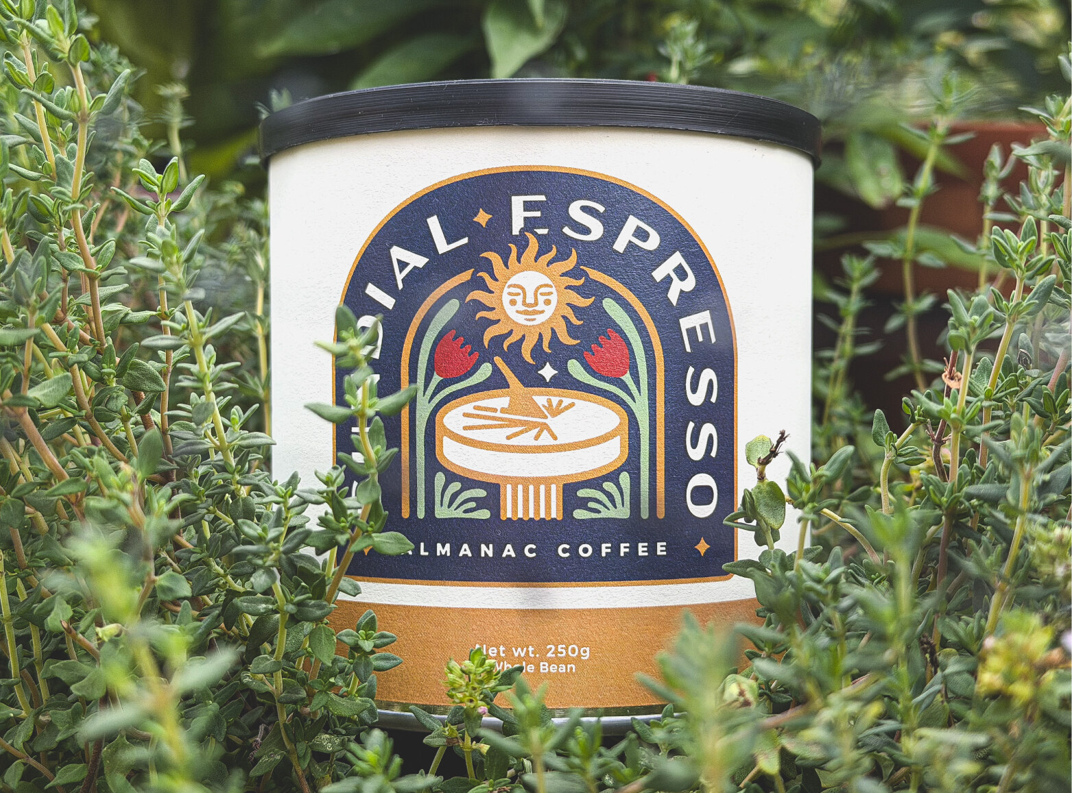 Sundial Espresso tin in garden setting