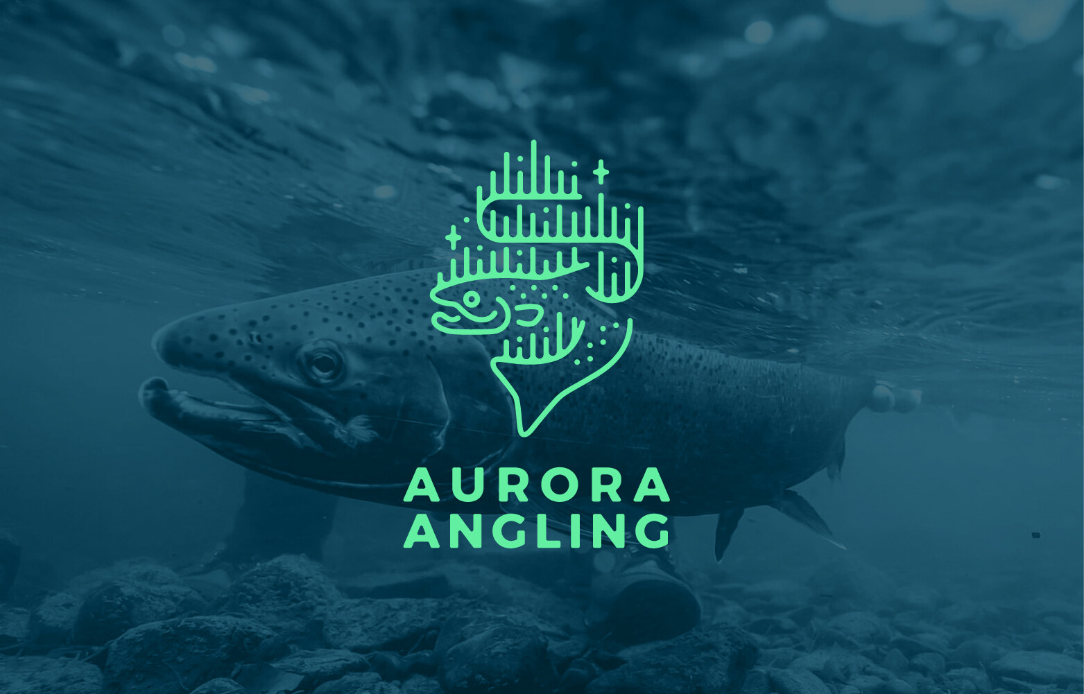 Aurora Angling logo on underwater fish photo