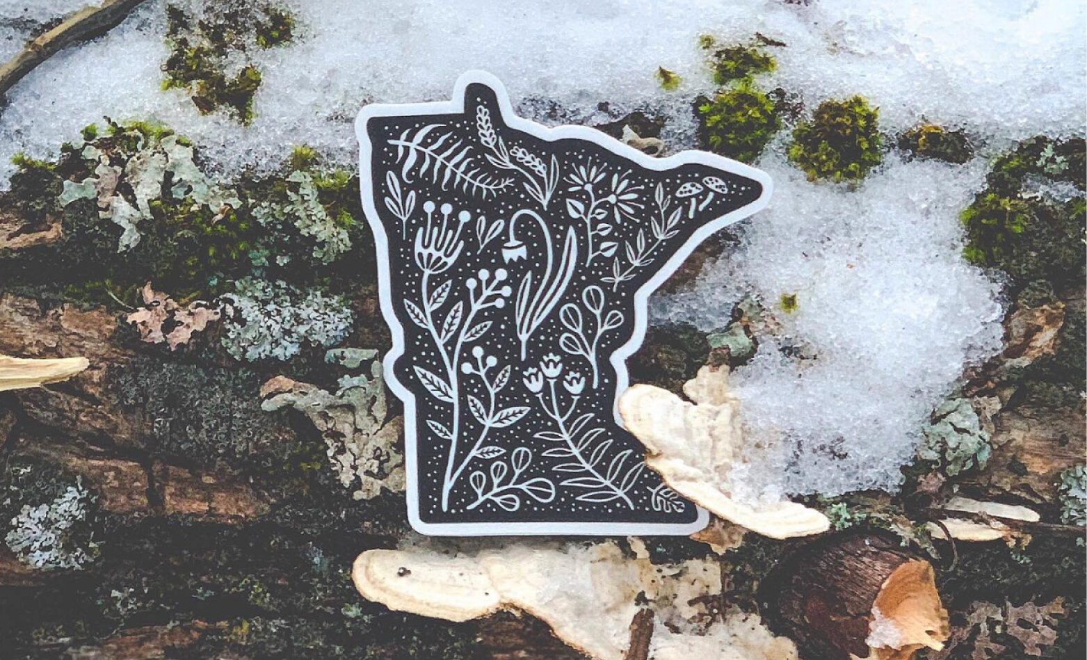 Minnesota state illustration sticker with botanical line art